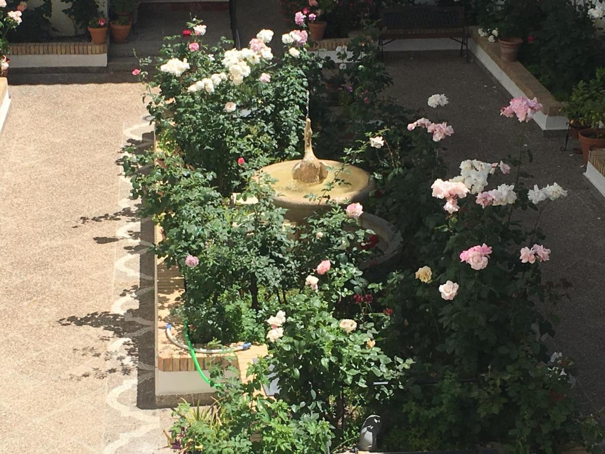 Apartment Tourist House Santa Maria De Gracia *